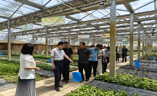 2024年6月27日，中國綠色食品發(fā)展中心相關(guān)領(lǐng)導(dǎo)蒞臨農(nóng)業(yè)總公司考察調(diào)研_副本.jpg